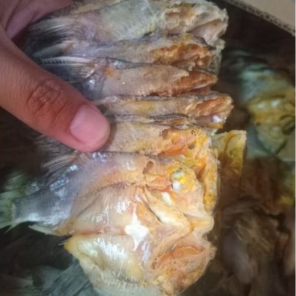 

ASIN TAWES NILEM/ikan asin tawes kecil250gr