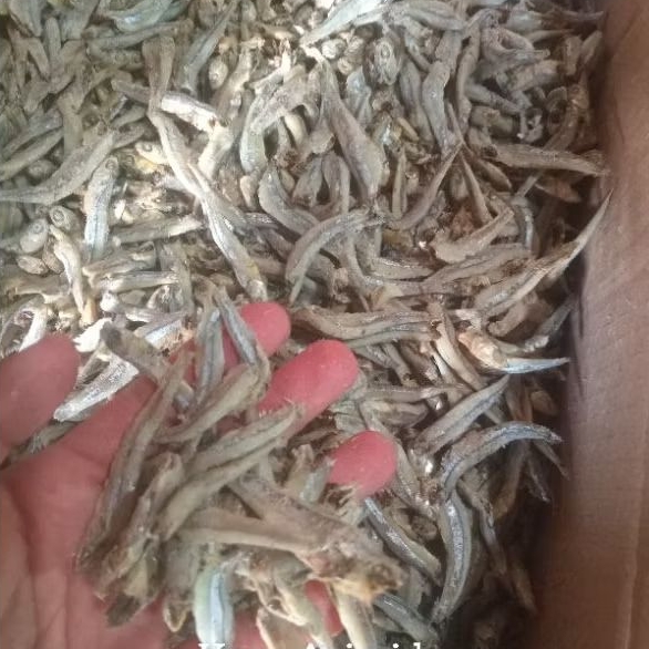 

TERI JENGKI/ ikan asin teri jengki