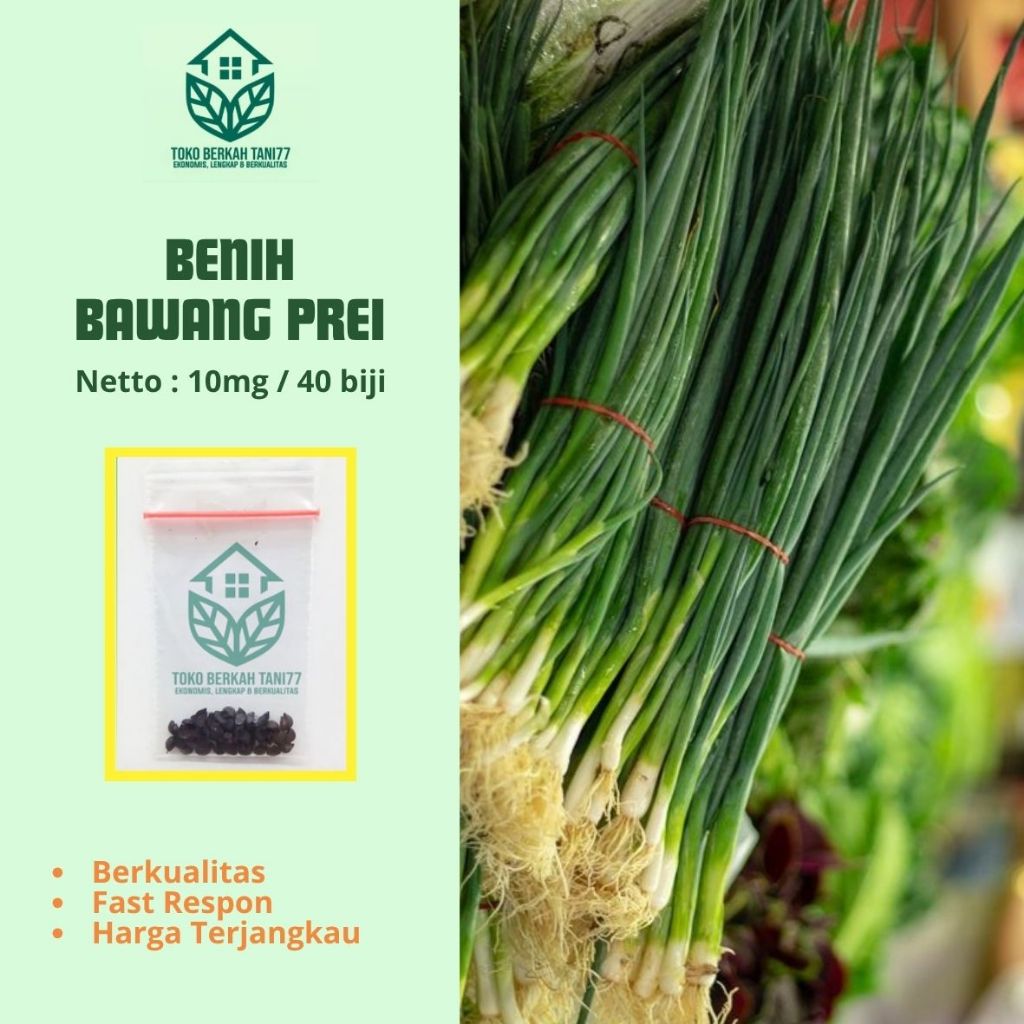 Bibit Daun Bawang Prei Benih Daun Bawang Prei Hidroponik (35 Biji, 100mg)