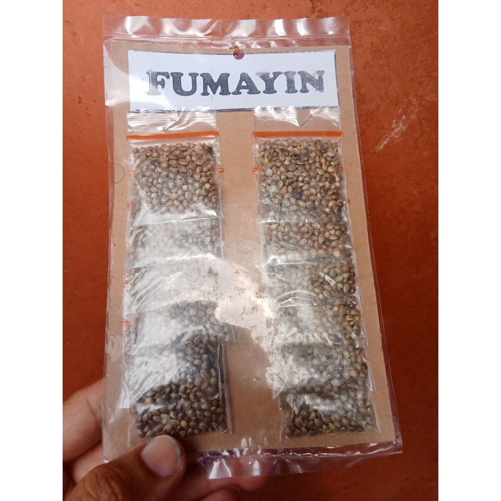 FUMAYYIN penggacor burung kenari 1 pcs,penggacor burung kenari,kenari menjadi kongslet