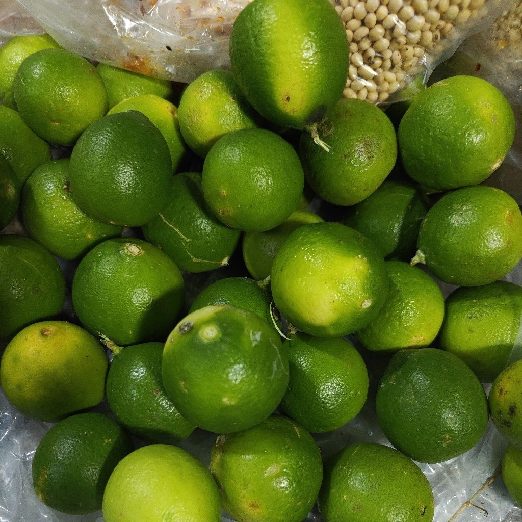 

Jeruk nipis untuk berbagai olahan dan kesehatan