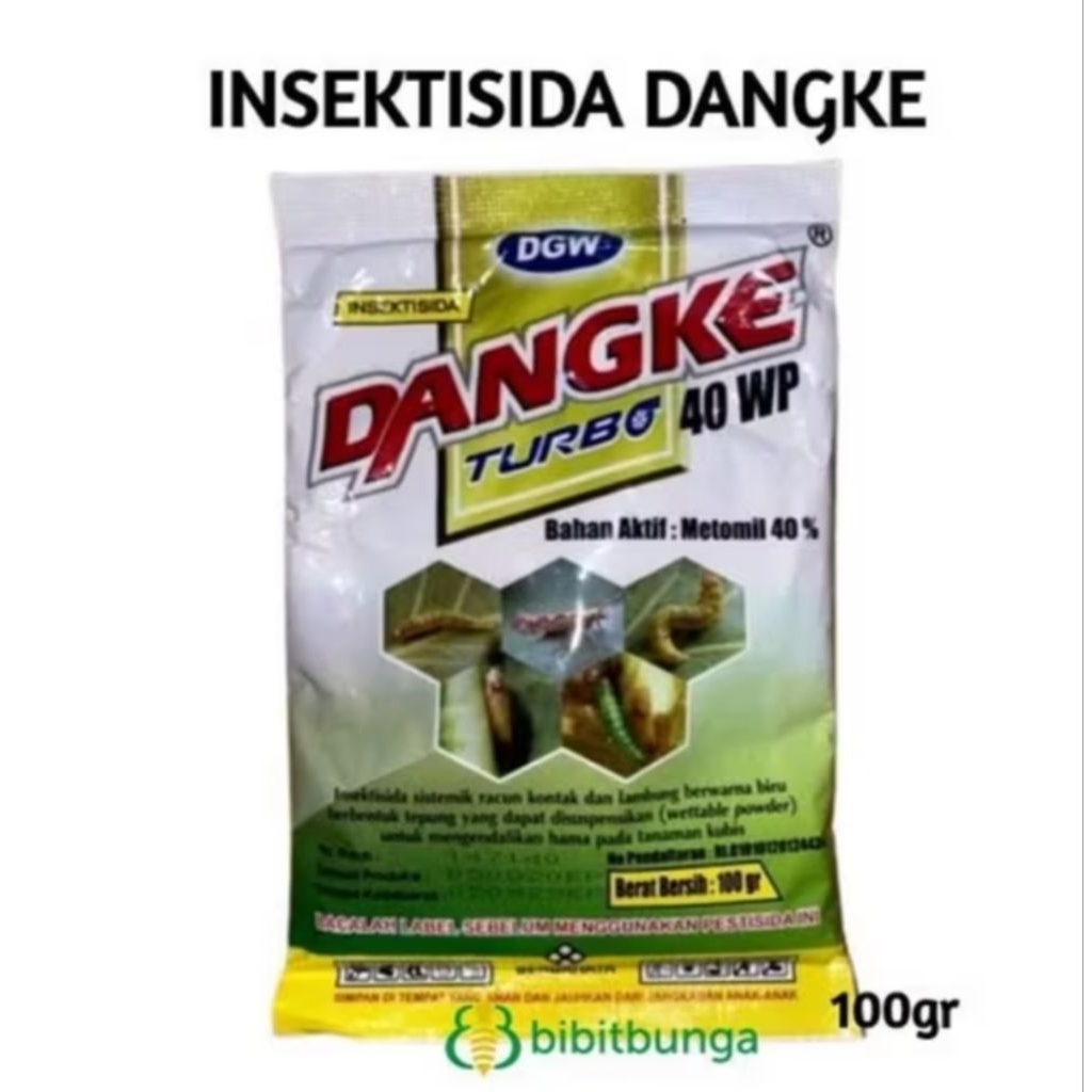 DANGKE turbo 100 gram