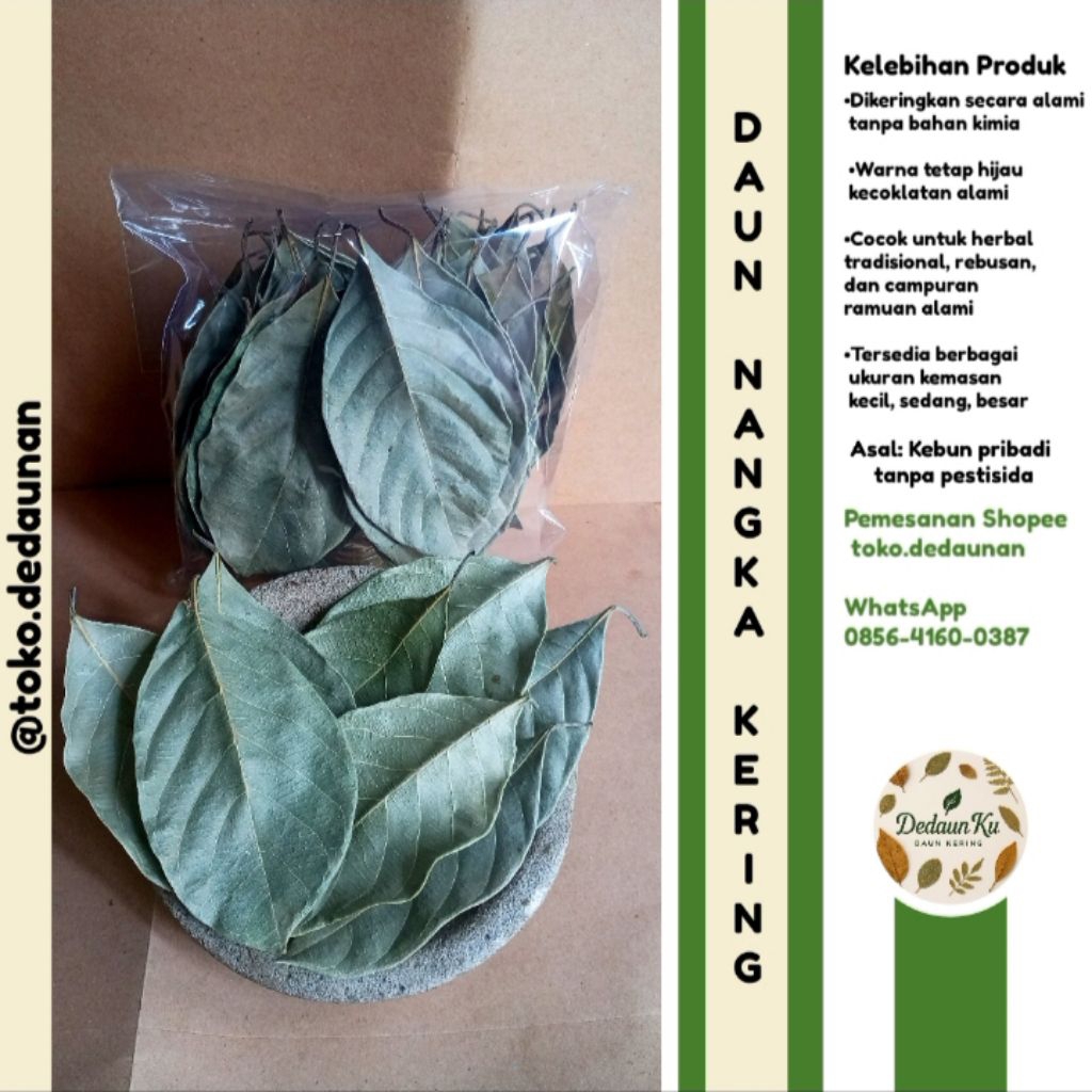 

Daun Nangka Kering Herbal Alami – Ramuan Tradisional / Siap Seduh