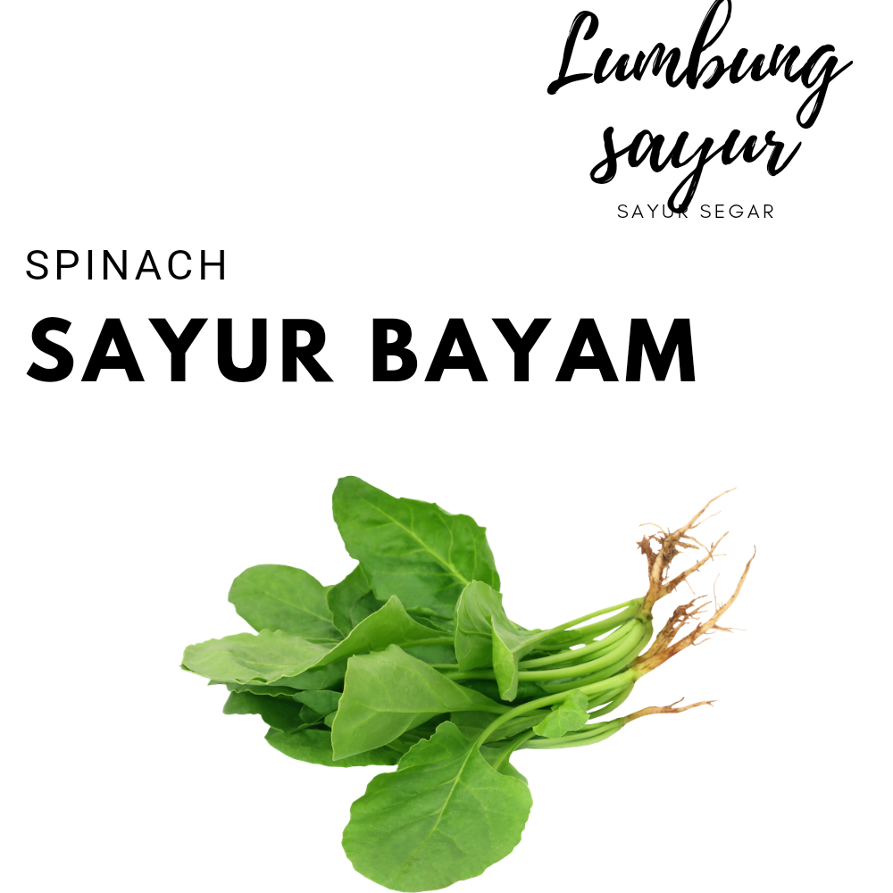 

[Sayur Lumbung] Bayam Segar 1 ikat Murah Berkualitas