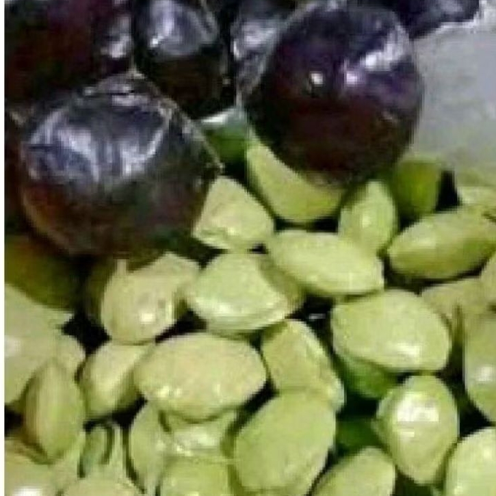 

jengkol muda untuk lalapan sambal 500 gram