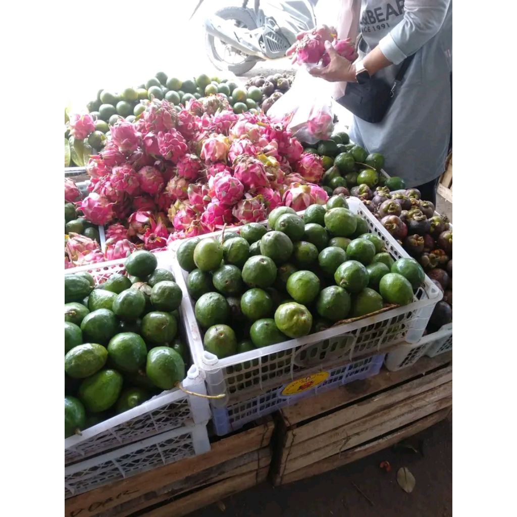 

❤️ SRIRATU ❤️ jeruk Legi josss mantul pol