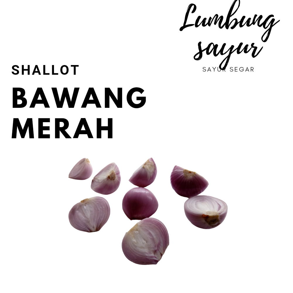 

[Sayur Lumbung] Bawang Merah Super