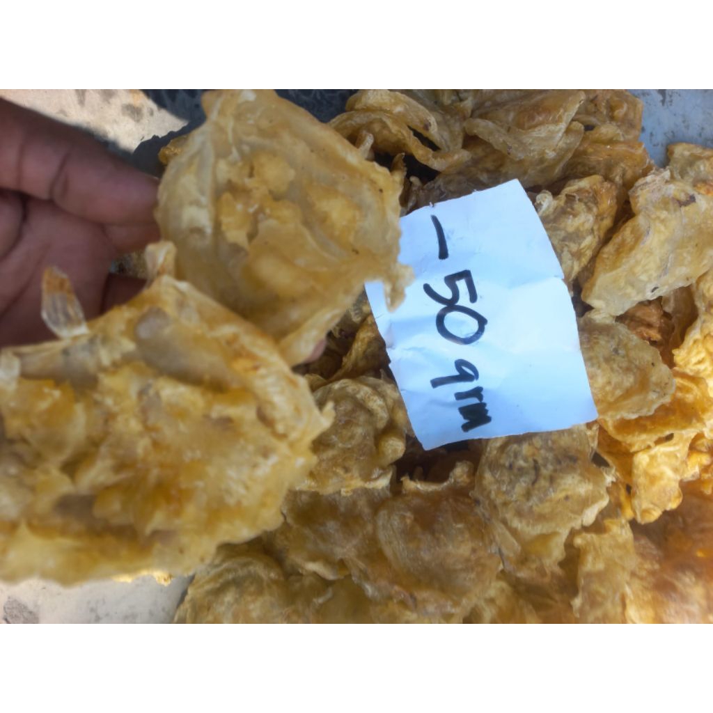 

Fish Maw (Gelembung Ikan) Ikan Kerapu