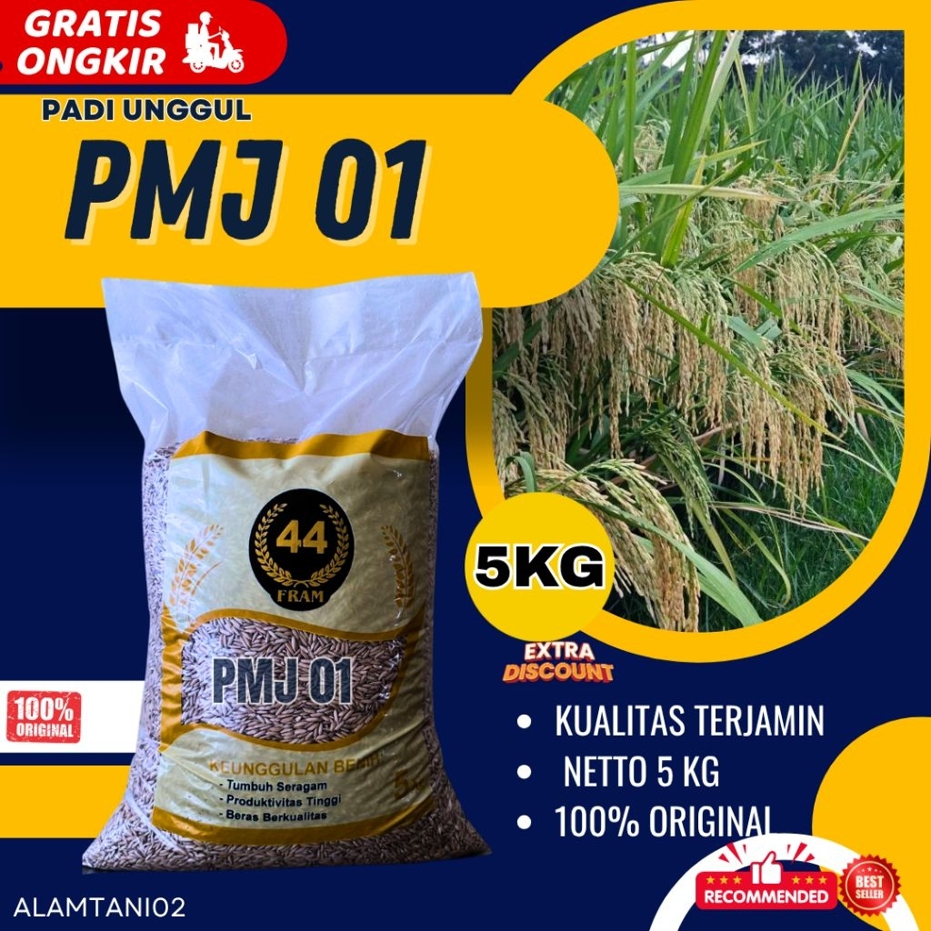 BIBIT PADI BENIH PADI PREMIUM PMJ 01  BERKUALITAS KEMASAN 5KG