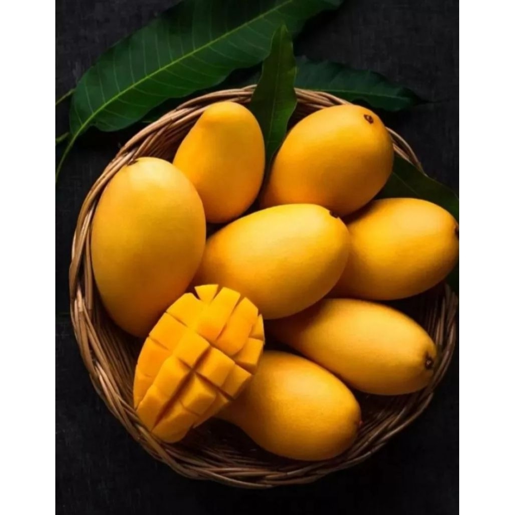 

Hajatan Mangga Klik Mint