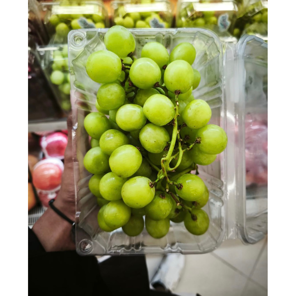 

Anggur green summer crunchy - Buah anggur hijau garing manis USA 500 grm