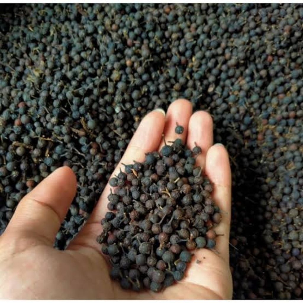 

kemukus kering rempah asli Indonesia berat 1 kg