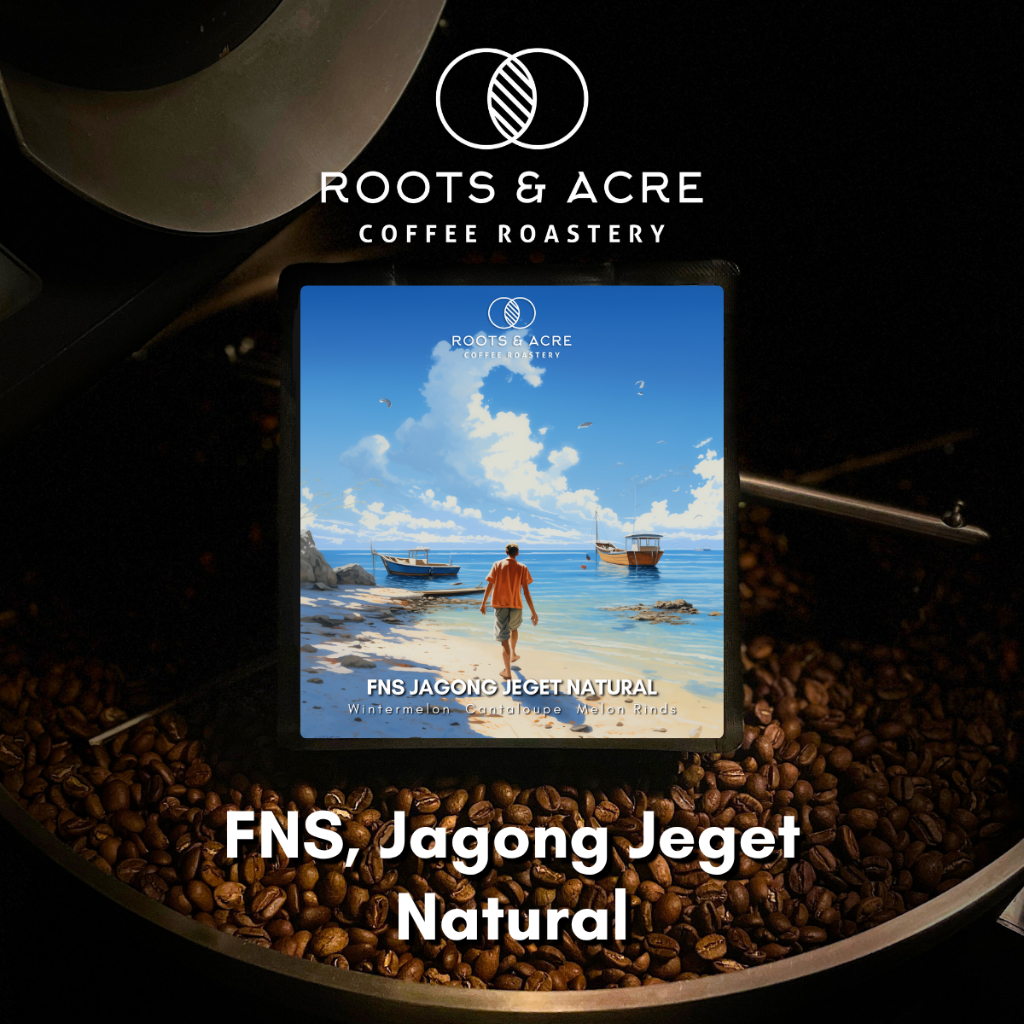 

Father & Son Fields Jagong Jeget - Classic Natural - Single Origin Specialty Coffee - Biji Kopi Arabika Roots And Acre