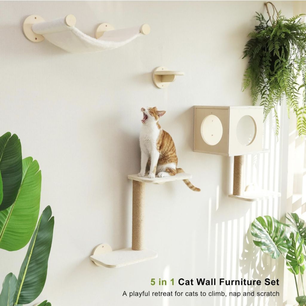 Cat playground wall cat climbing wall cat house panjatan rumah dingding dekorasi rumah wahana bermai