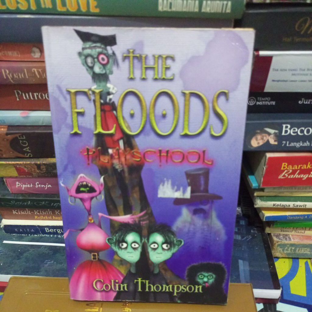 THE FLOODS PLAYSCHOOL COLIN THOMPSON