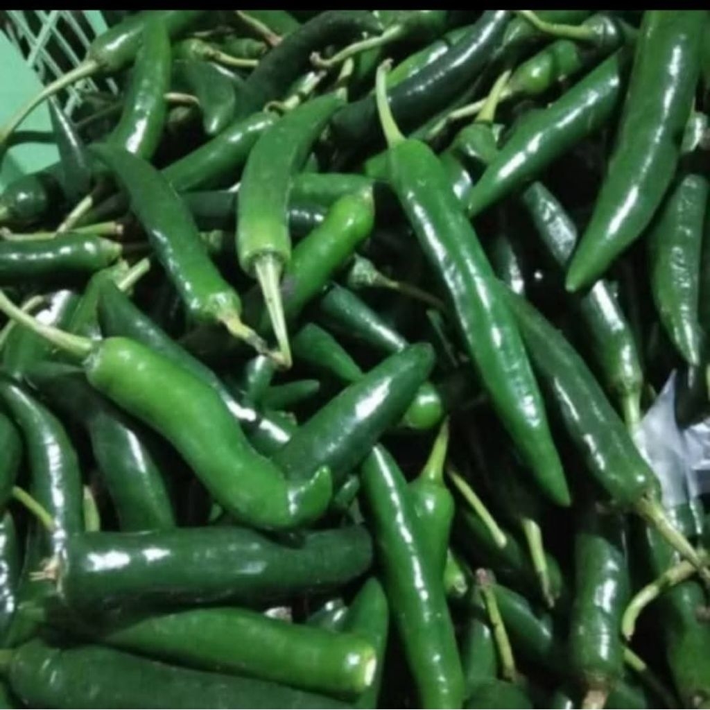 

Lombok hijau + ale/lombok ijo fress