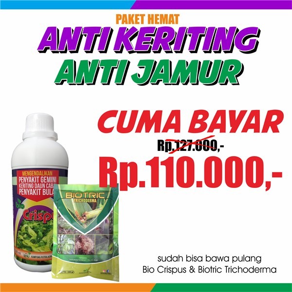 PAKET HEMAT ANTI KERITING DAN ANTI JAMUR PADA TANAMAN CABAI, TOMAT, KENTANG & TERONG