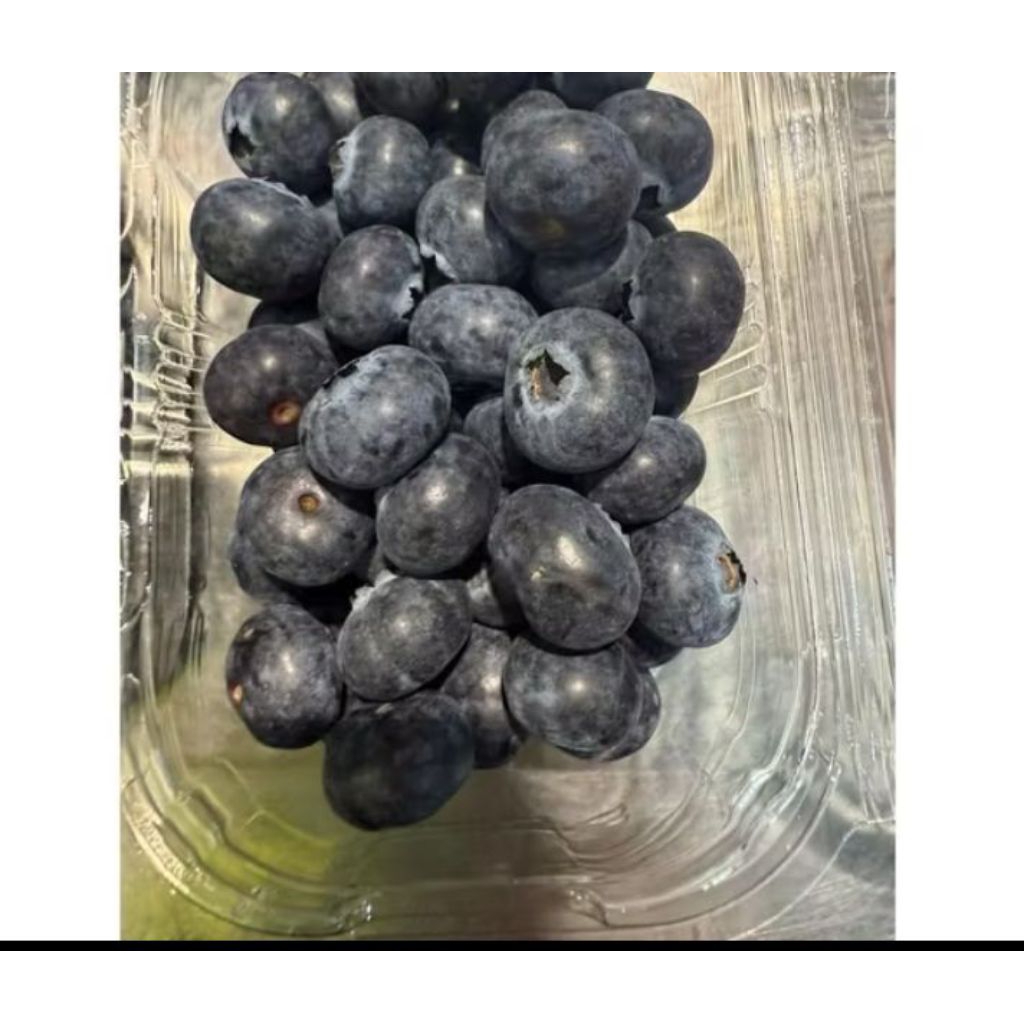 

Blueberry Jumbo Eureka fresh 200 gram