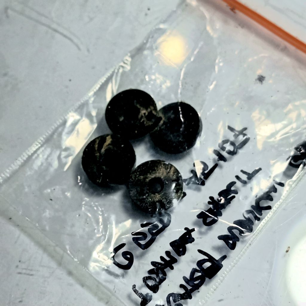 KARET KAKI CASING LAPTOP TOSHIBA SATELLIT C55D-A5107