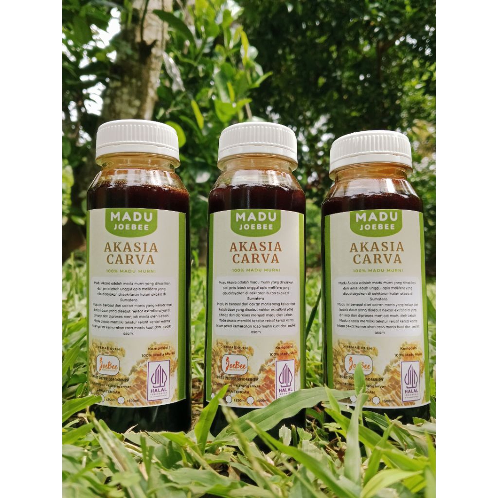 

CO khusus madu aksia