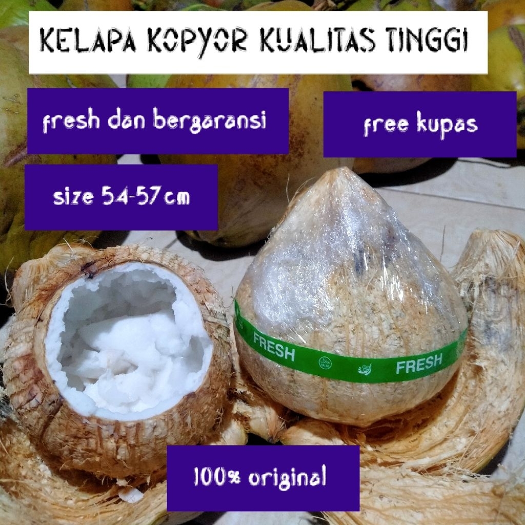 

kelapa kopyor asli, plontos size 54-57cm rasa manis dan dagingnya tebal