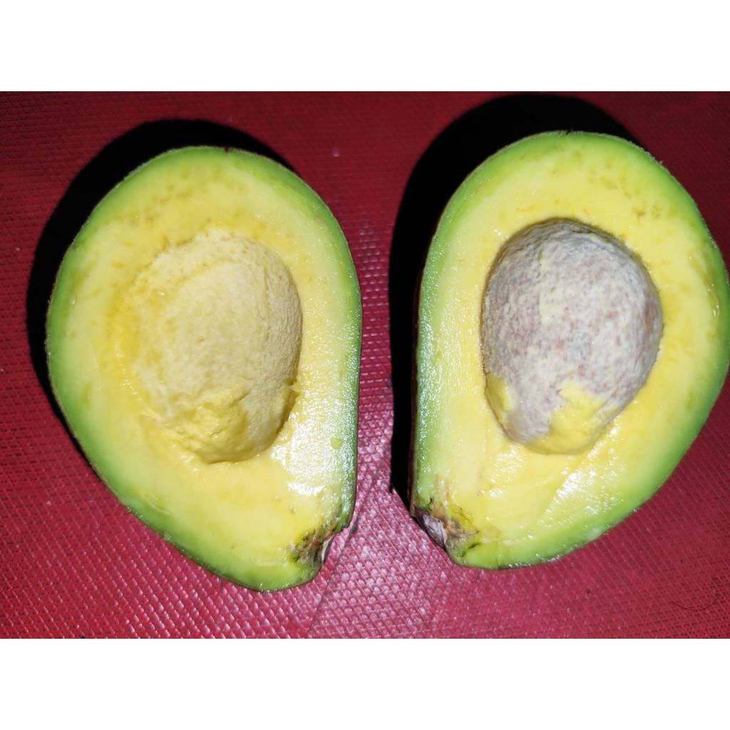 

Alpukat Mentega Ukuran Sedang