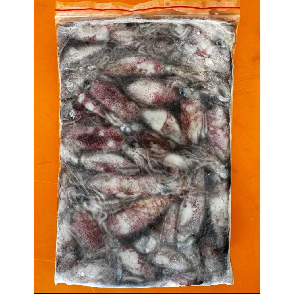 

CUMI. CUMO FROZEN. CUMI - CUMI BEKU KAPAL. SQUID.