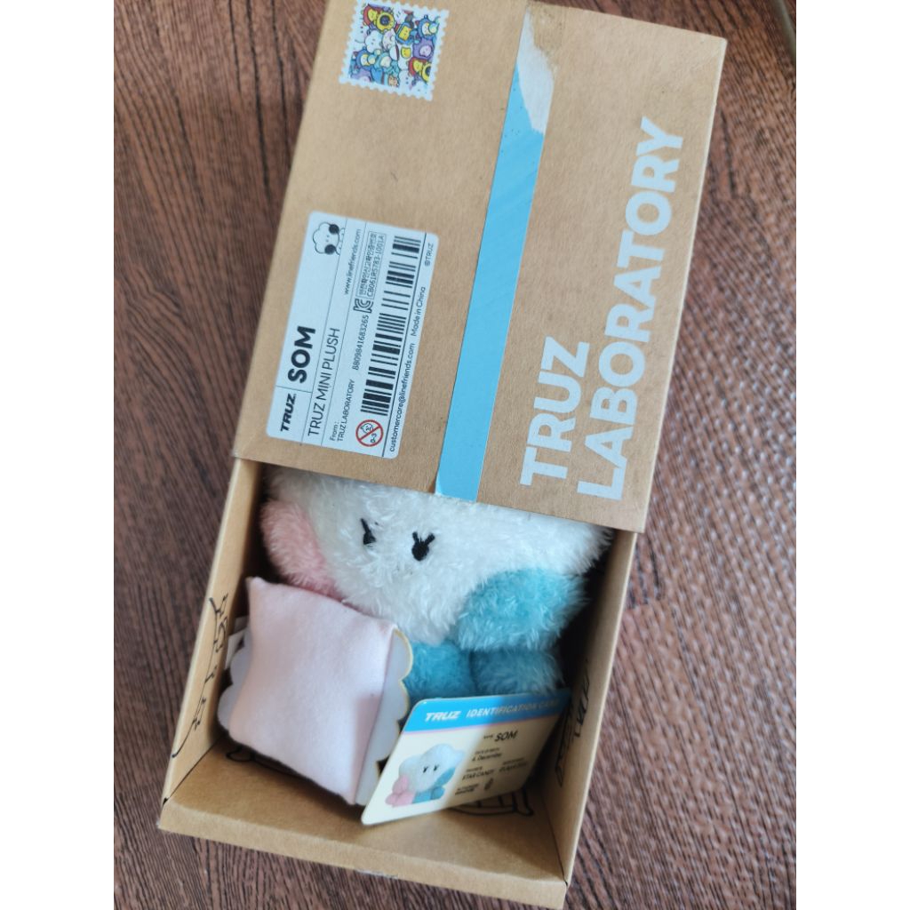 PRELOVED TREASURE HOODIE TRUZ SOM