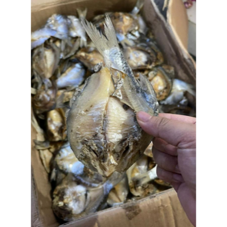 

Ikan Asin Tawes | JBP_Fresh