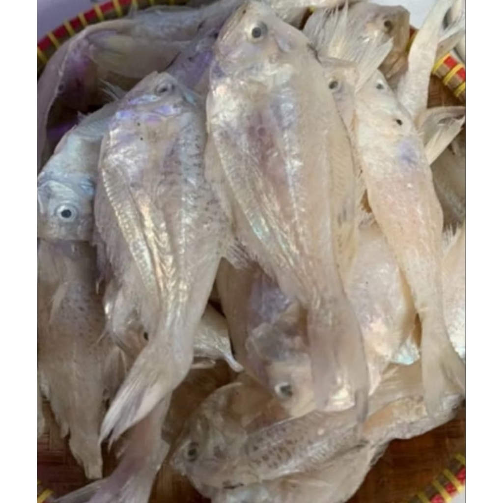 

ikan putri ayu kering 100grm termurah