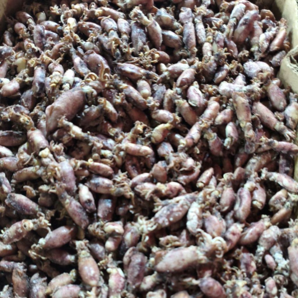 

baby cumi asin kering 250gram