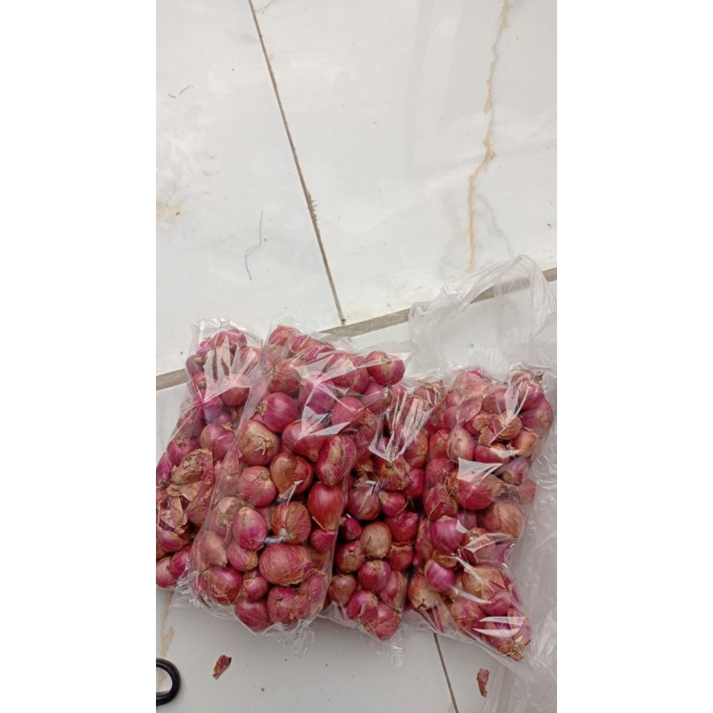 

BAWANG MERAH BESAR SPESIAL DISKON HARGA
