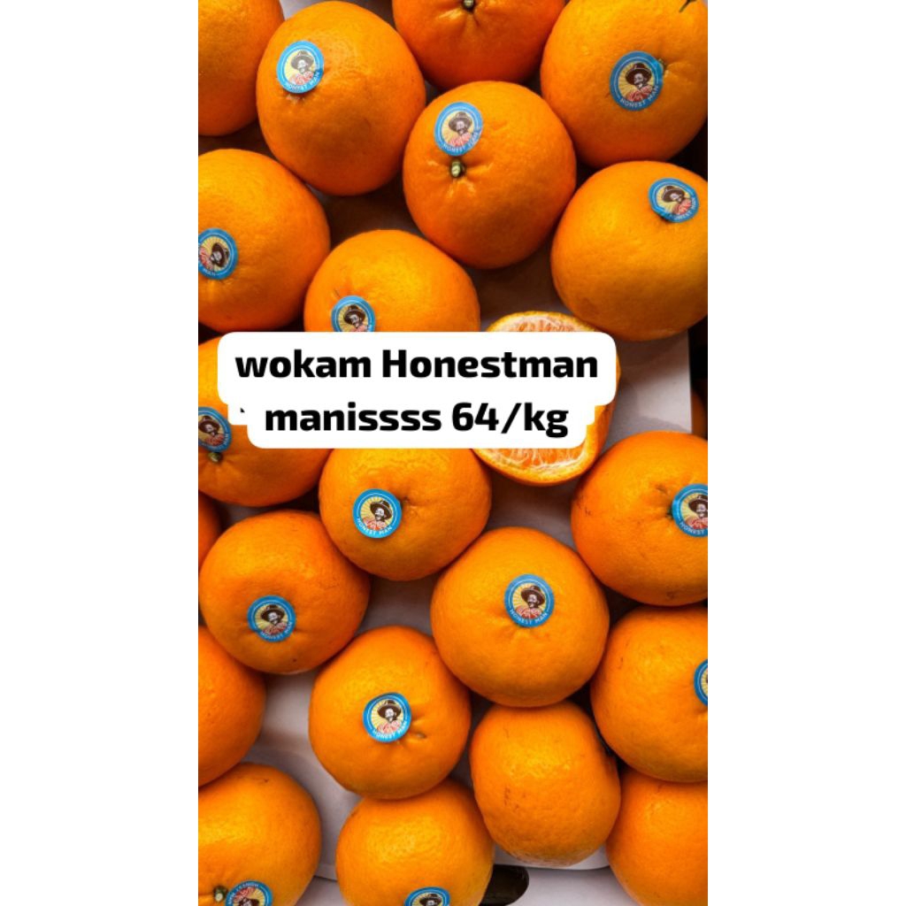 

Wokam honestman maniss