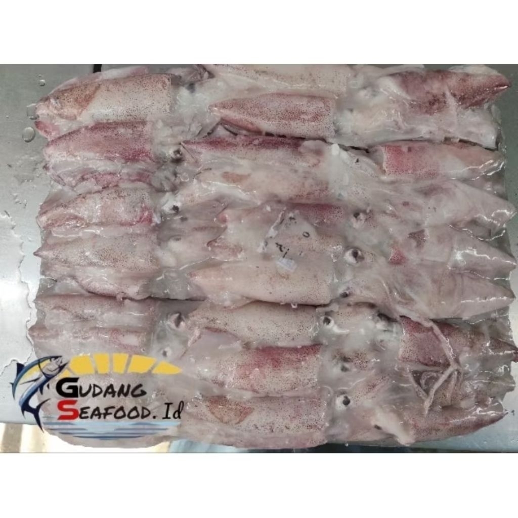 

Cumi Utuh 1 kg / pack