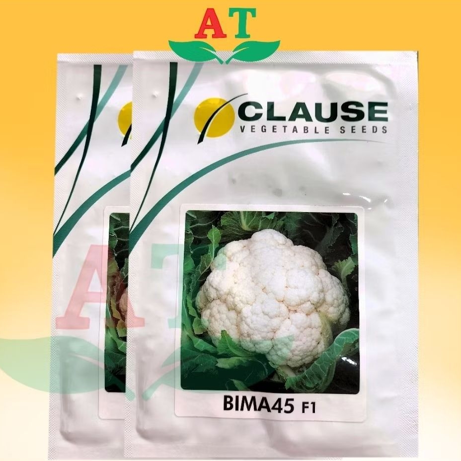 BENIH KEMBANG KOL CLAUSE BIMA45 F1 - 2500 biji