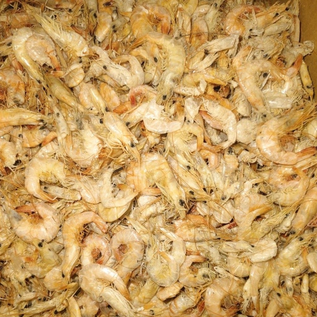 

Udang Ebi Asin jumbo 100g - SAKURA