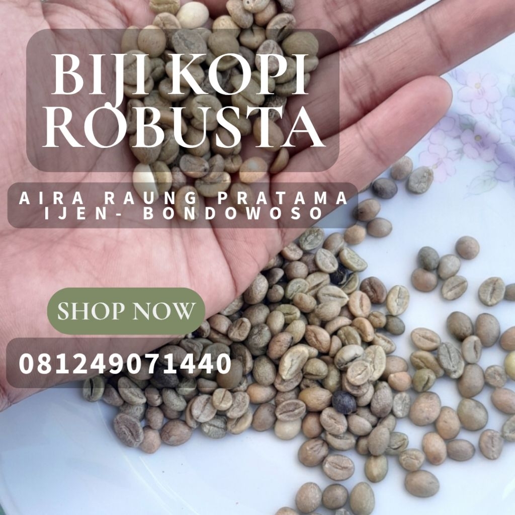 

Biji kopi robusta ijen raung bondowoso