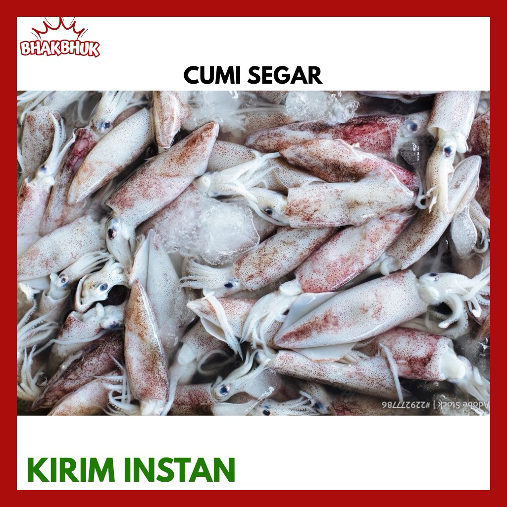 

CUMI SEGAR Ukuran Sedang Bersih Siap Masak (FROZEN)