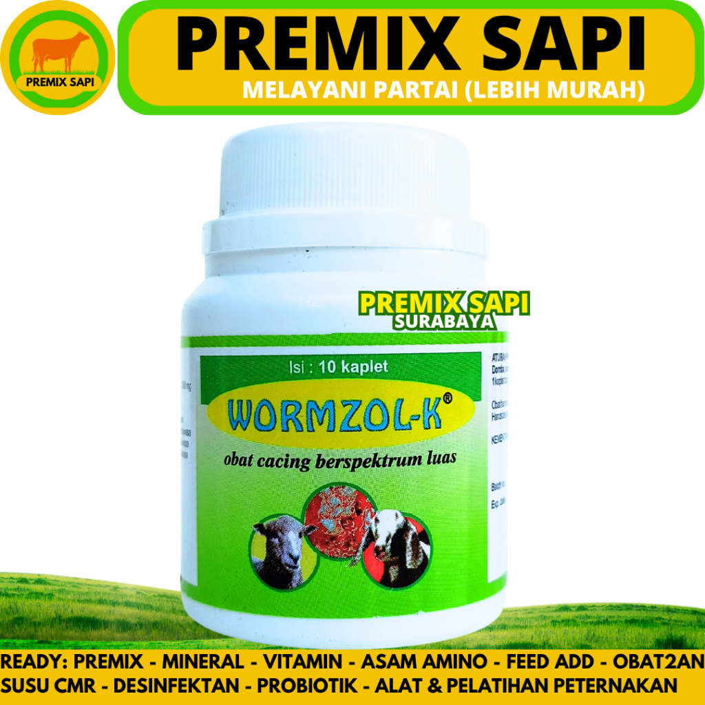 Obat Cacing Kambing WORMZOL K 10 KAPLET MEDION - Obat Cacing Domba Kambing