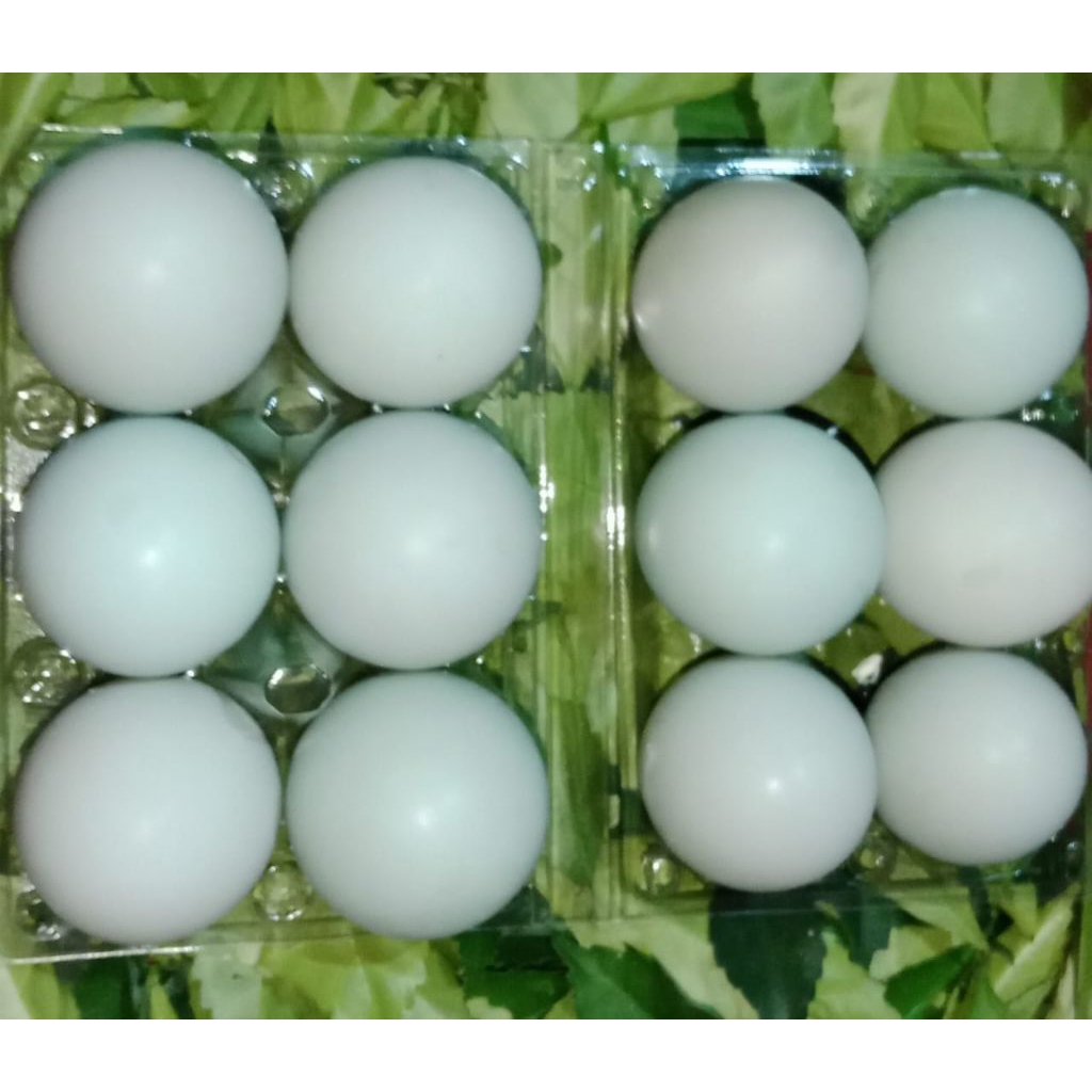 

TELUR MENTAH FRESSHH MURAH 12 BUTIR