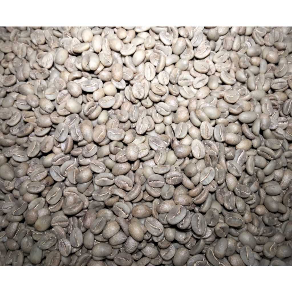 

Kopi Arabika Green Bean Palintang Honey Crop 2025