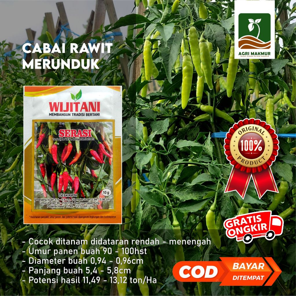 Benih Cabai Serasi Wijitani Seed - Cabai Rawit Merunduk 10gr
