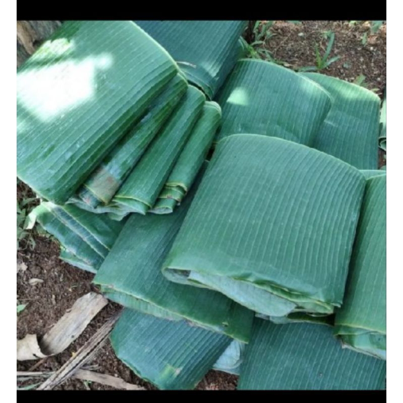 

Daun pisang