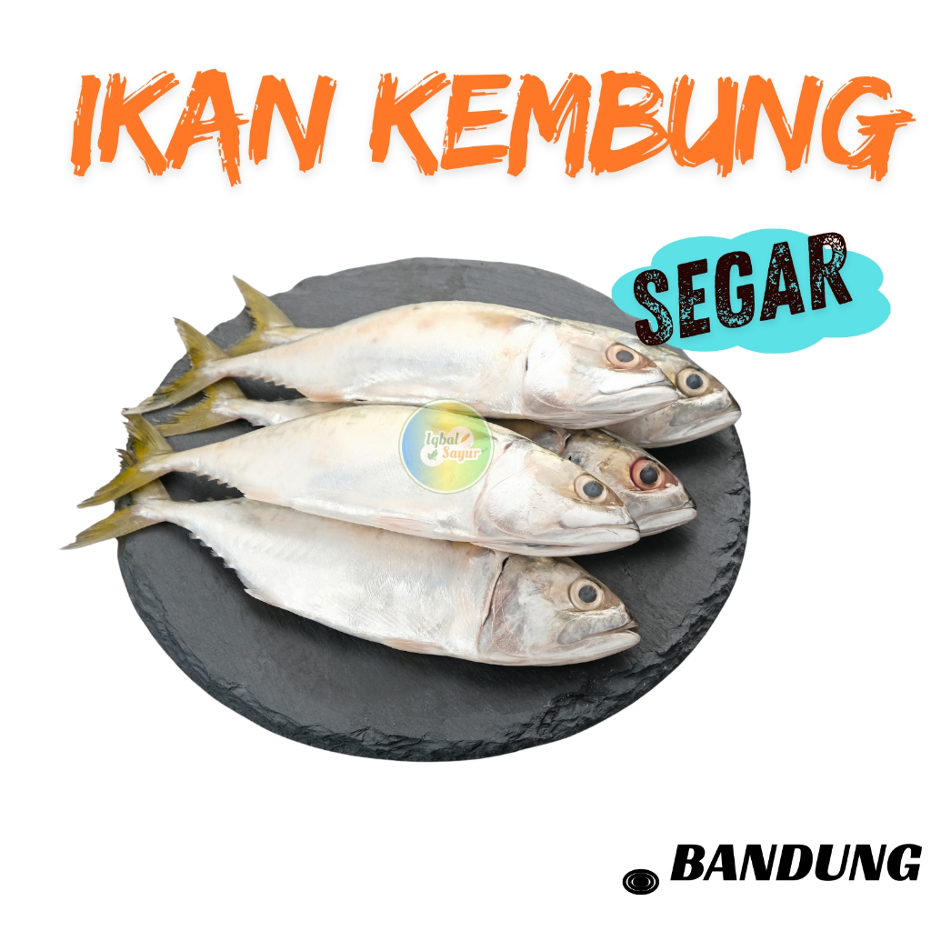 

[ PO Kirim Besok ]Ikan Kembung | Khusus Bandung (500 Gr)