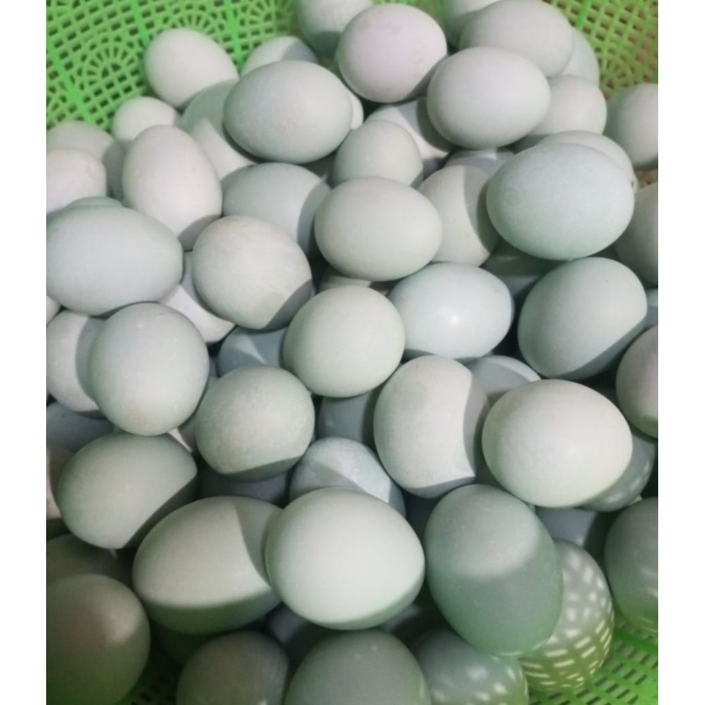 

Telur Asin Fresh 1 mika 10pcs