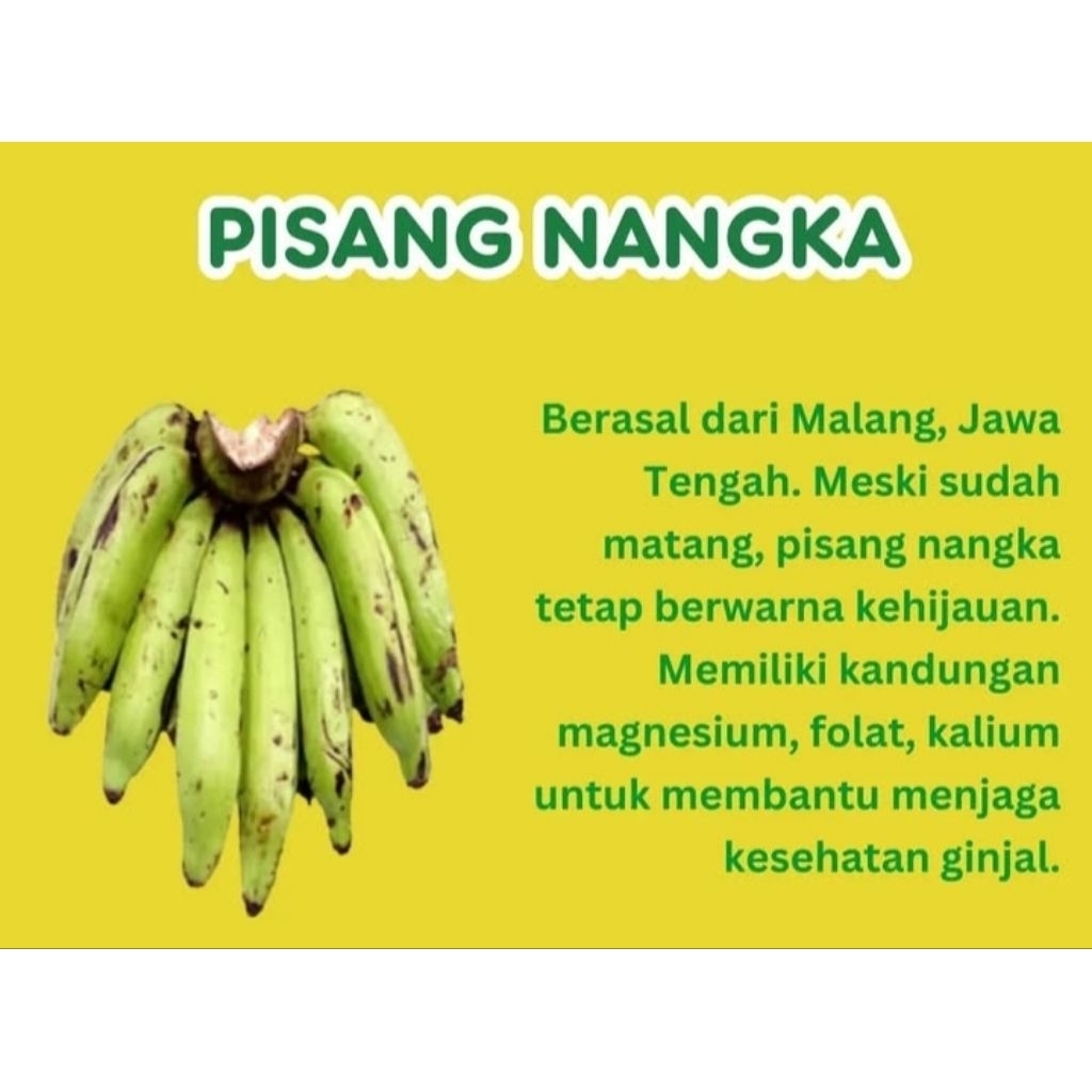 

Pisang Nangka Termurah
