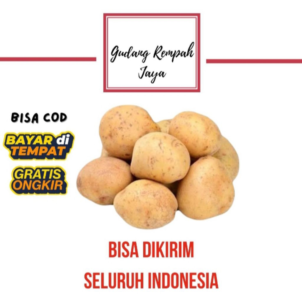 

KENTANG DIENG FRESS 500gr BISA KIRIM KELUAR KOTA (UKURAN SEDANG)