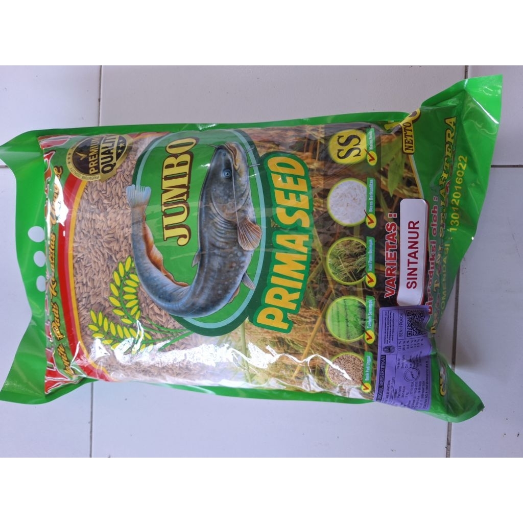 Benih padi unggul pandan wangi / bibit sintanur bersertifikat kemasan 5kg