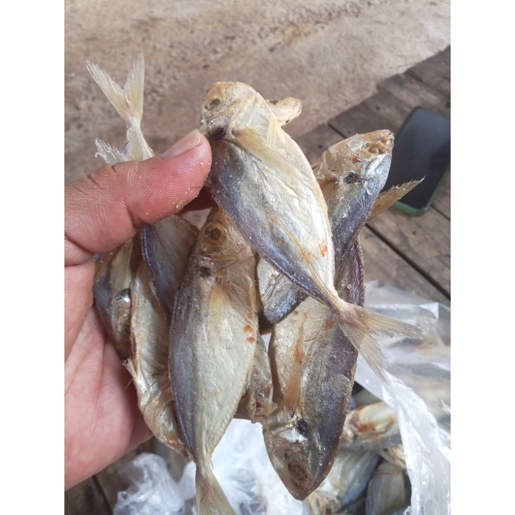 

ikan asin layang