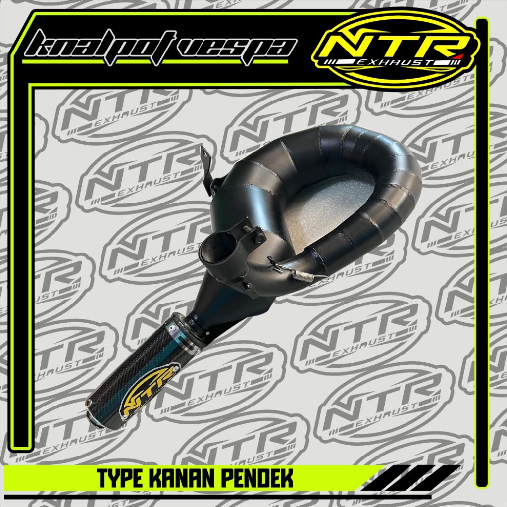 Knalpot vespa Kanan pendek CARBON silencer